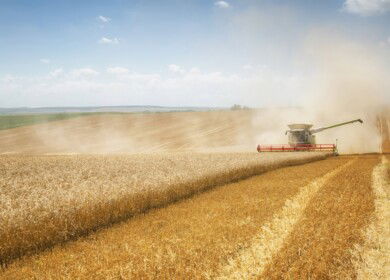 Russia sets strict grain export quotas for 2025