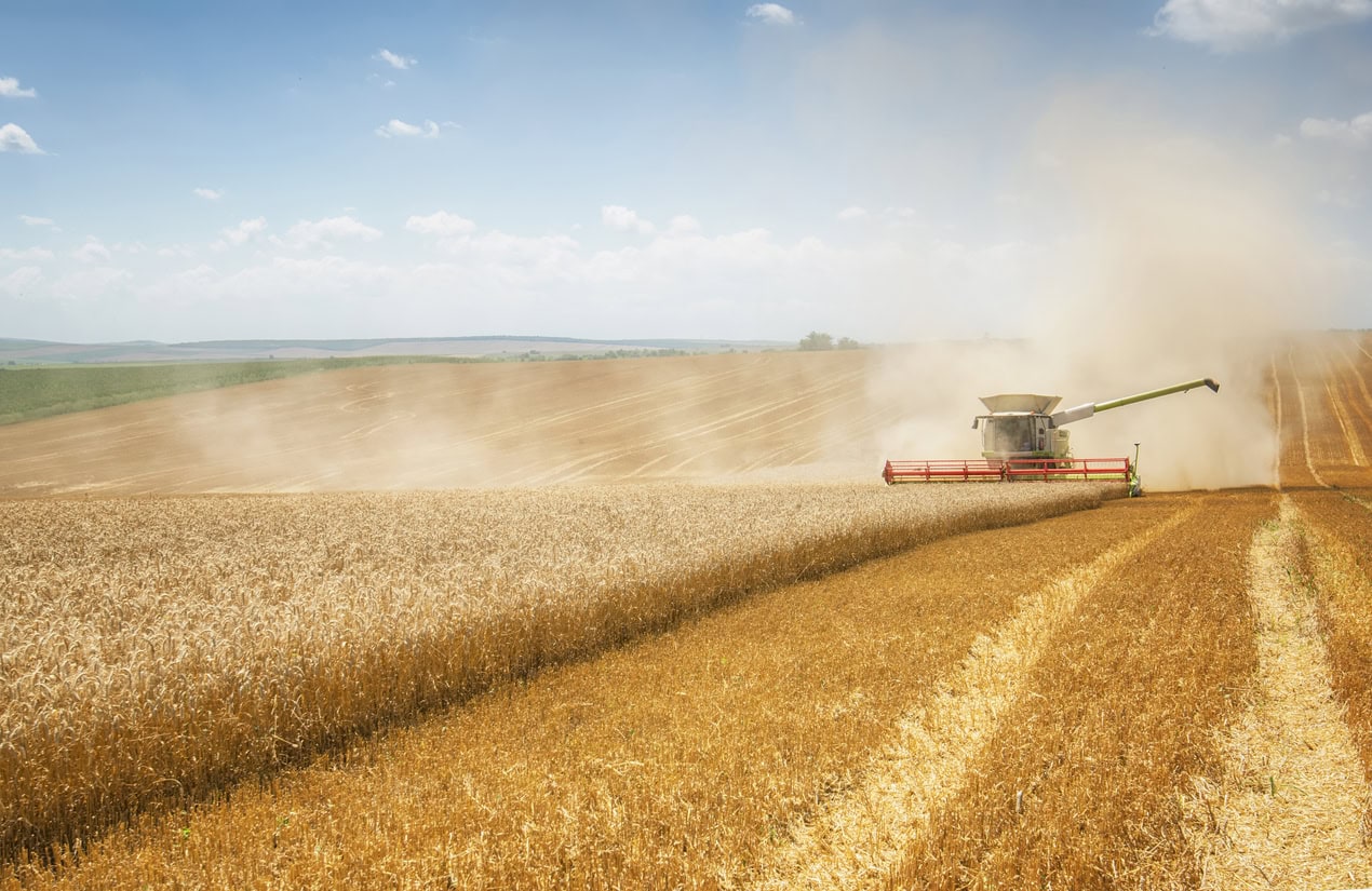 Russia sets strict grain export quotas for 2025