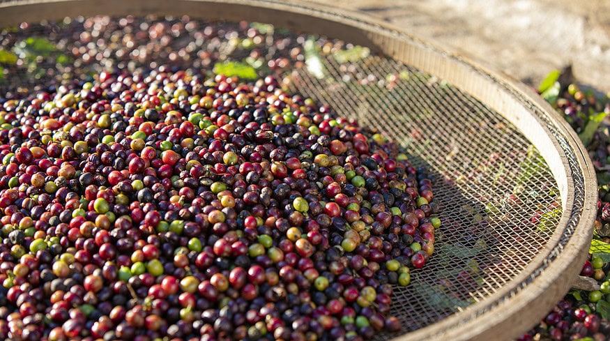 Brazil’s coffee roasters planned significant price increases amid rising costs
