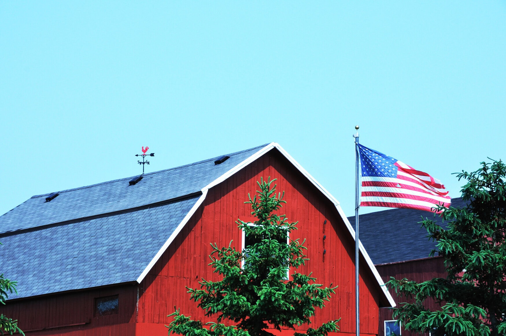 U.S. Congress has passed new Economic Loss Assistance Program providing $10 billion in direct payments to farmers