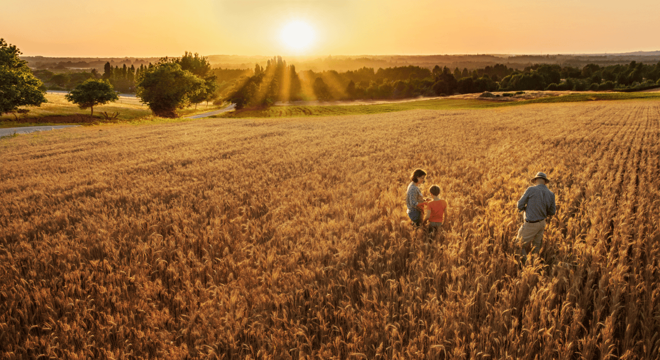 Sipcam Oxon expands reach with Grosafe acquisition in New Zealand