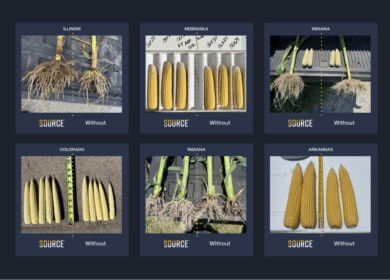 Sound Agriculture raises $25M for its microbial solution that unlocks nitrogen and phosphorus for plants