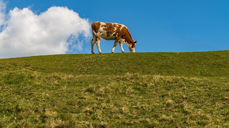 New research suggests that streams near farms emit high levels of greenhouse gas