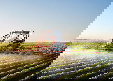 BioConsortia and H&T partner to launch nitrogen-fixing microbial seed treatment in New Zealand