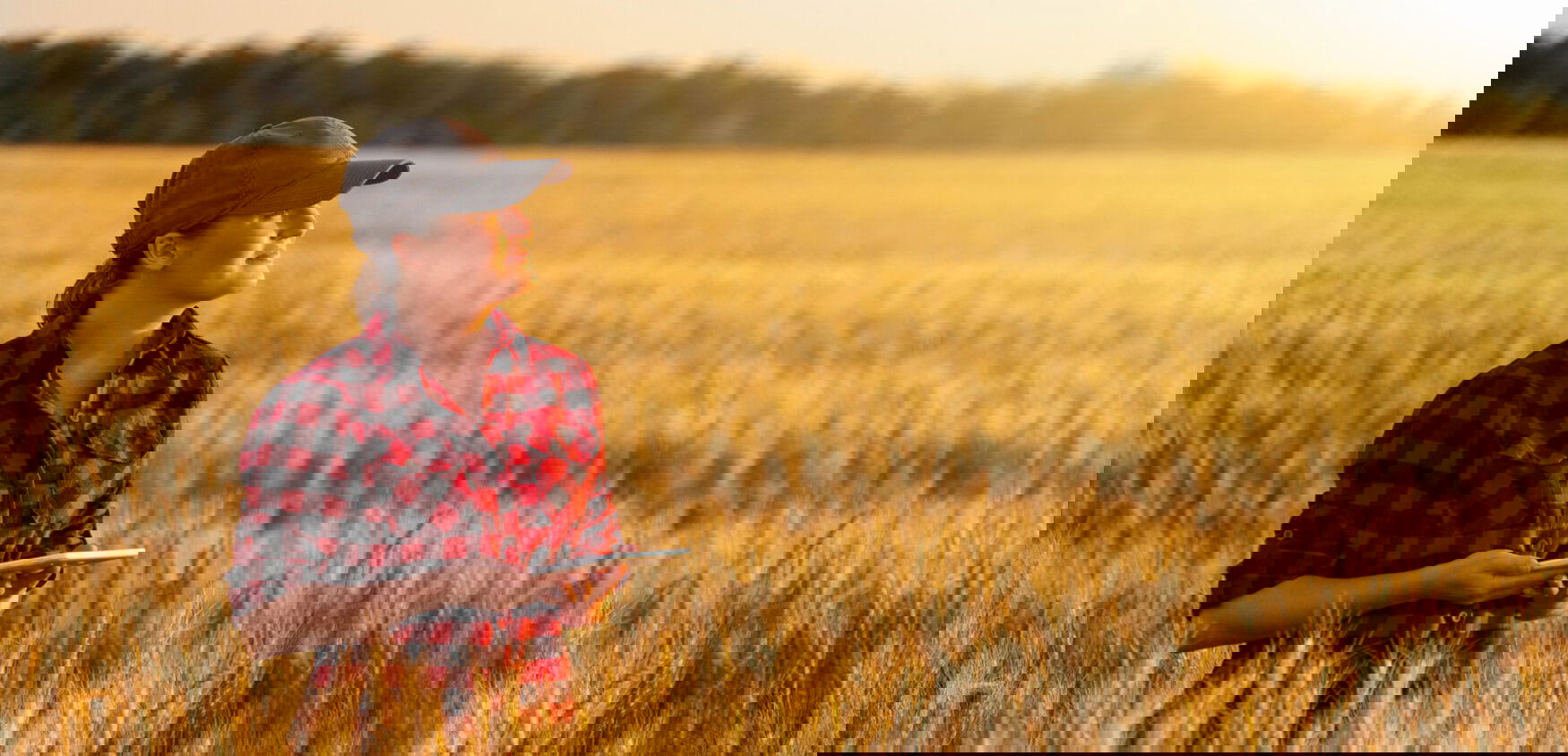 4,400 farmers shared their expectations for 2025 with McKinsey — read the analysis of key agricultural trends