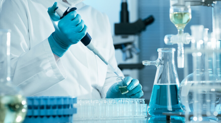 Russian scientists developed a solution that increases grain crop yields