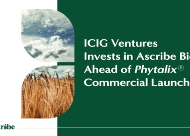ICIG invests in Ascribe Bio’s Phytalix: a game changer for farmers