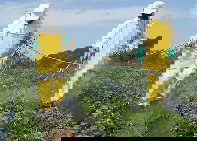 Crystal Crop Protection acquires key herbicide asset from Bayer