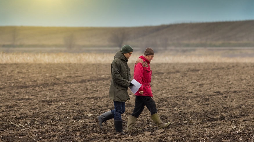 Russian government allocates $150 million to support farmers in 2025