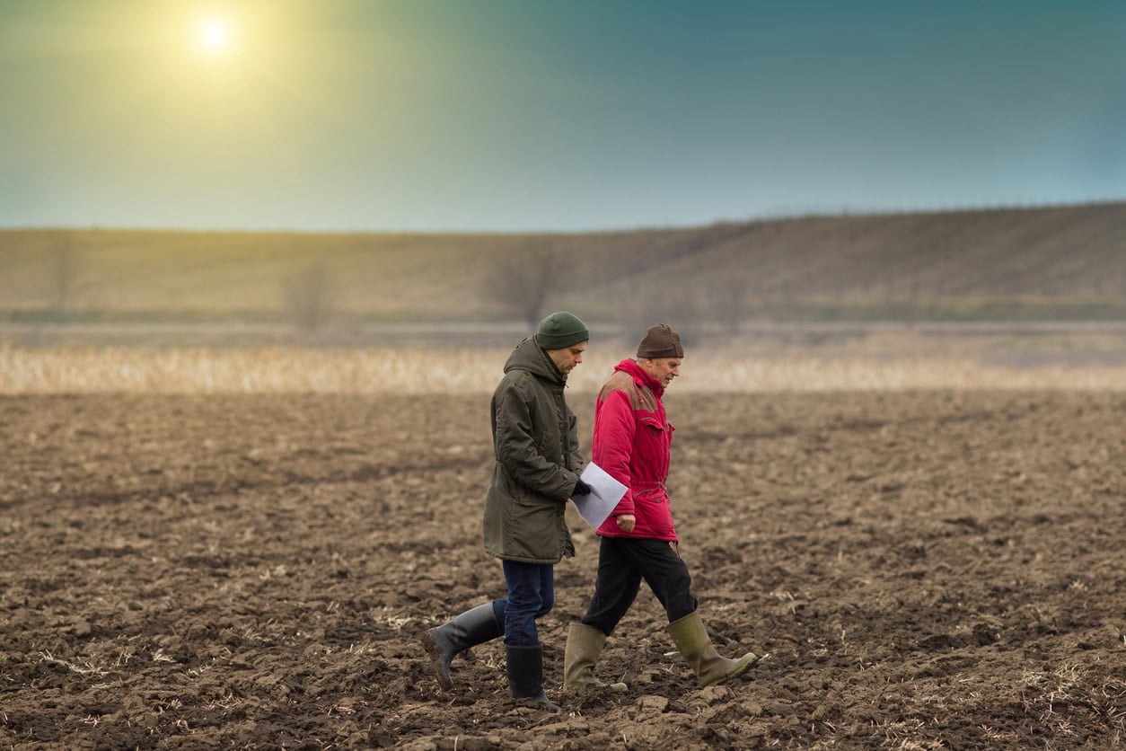 Russian government allocates $150 million to support farmers in 2025