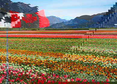 Canada offers farmer support to lower emissions, boost resilience