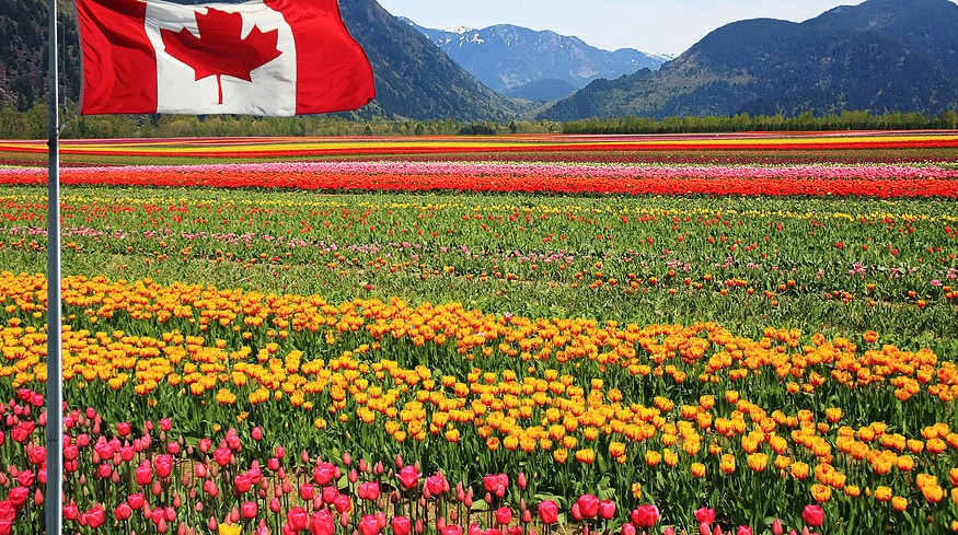 Canada offers farmer support to lower emissions, boost resilience