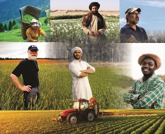 Indogulf Cropscience expands its investment in Ethiopia’s fertilizer sector