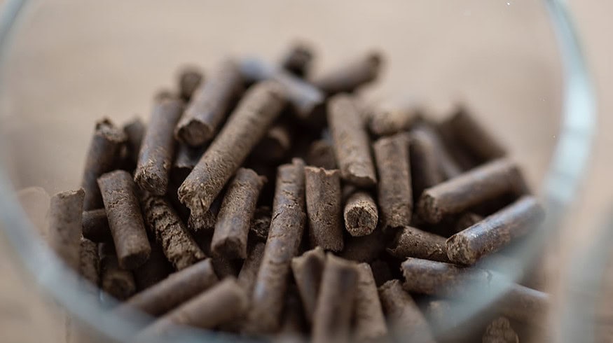 Innovafeed’s Hilucia insect fertilizer proposes new solution for agricultural nutrition and soil regeneration