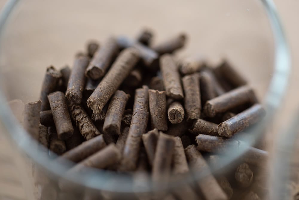 Innovafeed’s Hilucia insect fertilizer proposes new solution for agricultural nutrition and soil regeneration