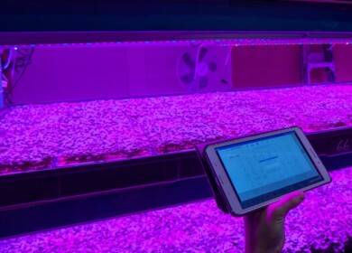 Canada’s Living Earth Farm forges new avenues in vertical farming