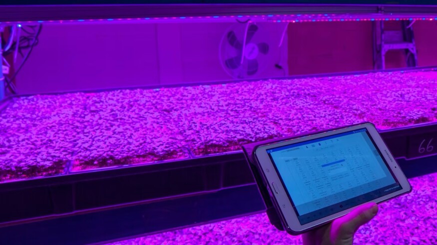 Canada’s Living Earth Farm forges new avenues in vertical farming