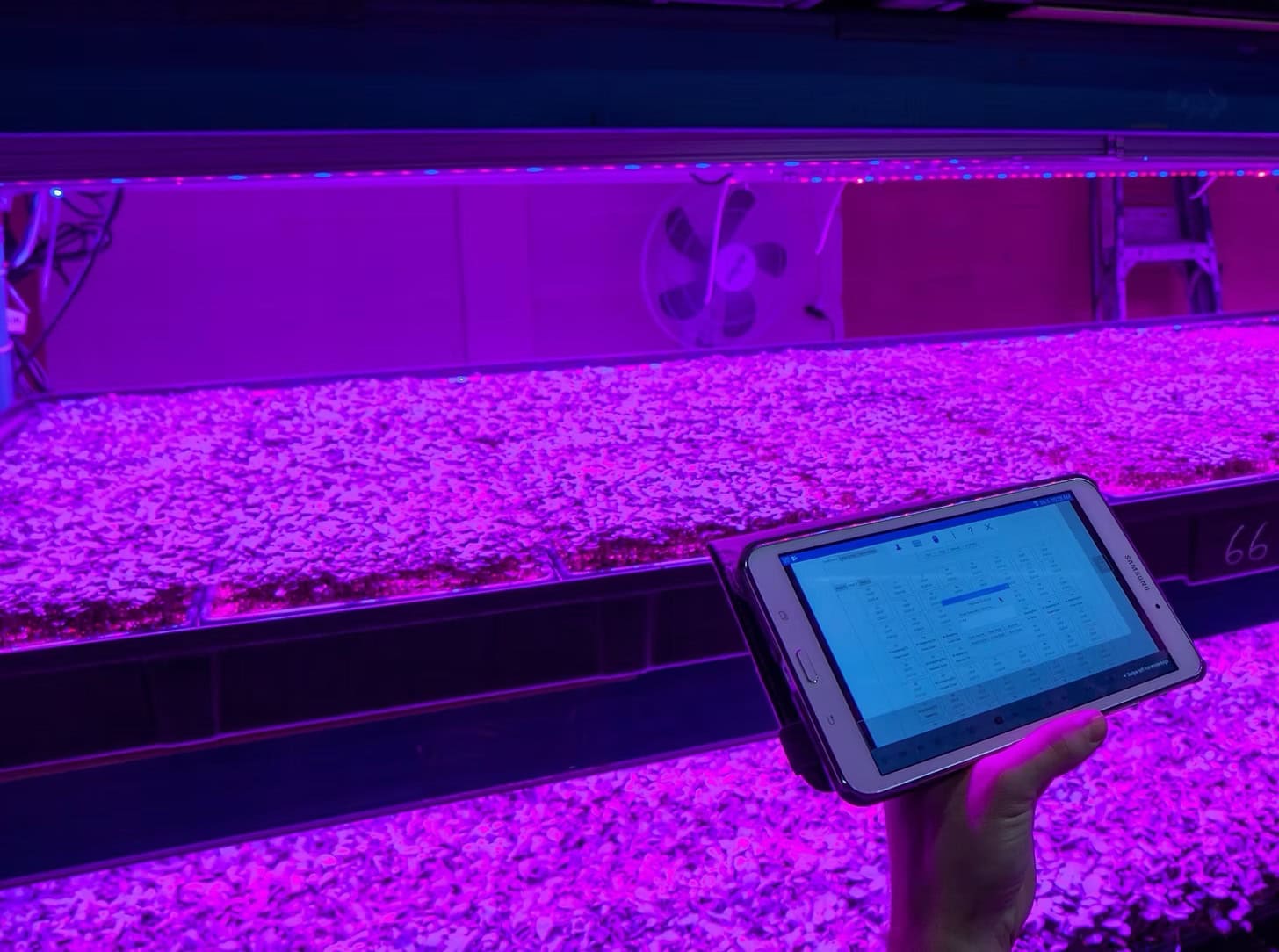 Canada’s Living Earth Farm forges new avenues in vertical farming