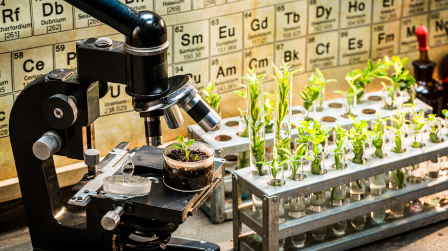Chinese Academy of Sciences announced breakthrough in environmentally friendly pesticides