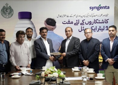 Syngenta empowers 15,000 wheat farmers in Sindh to boost yields