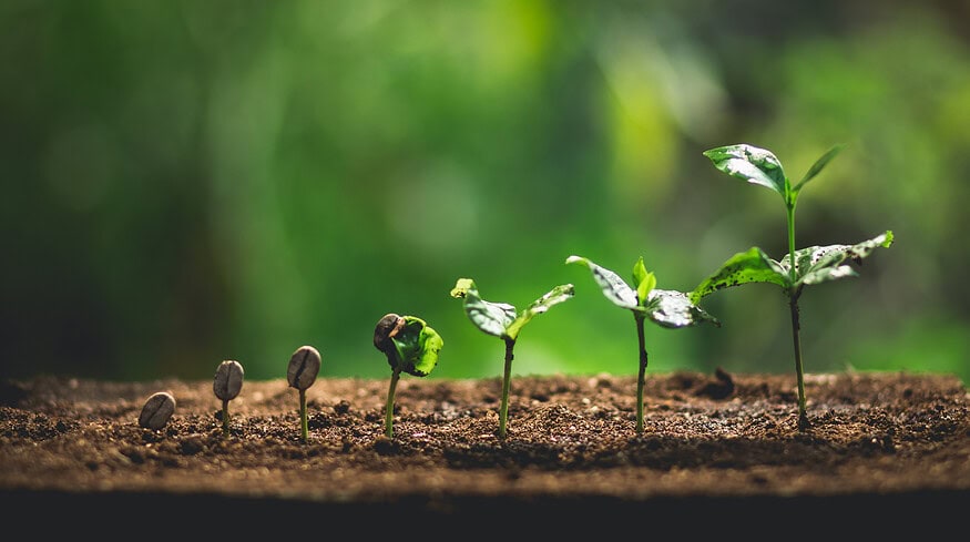 Pakistani microfinance banks forge strategic partners to enhance agricultural support services