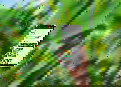 Seedco launches agronomy app for Zimbabwean farmers