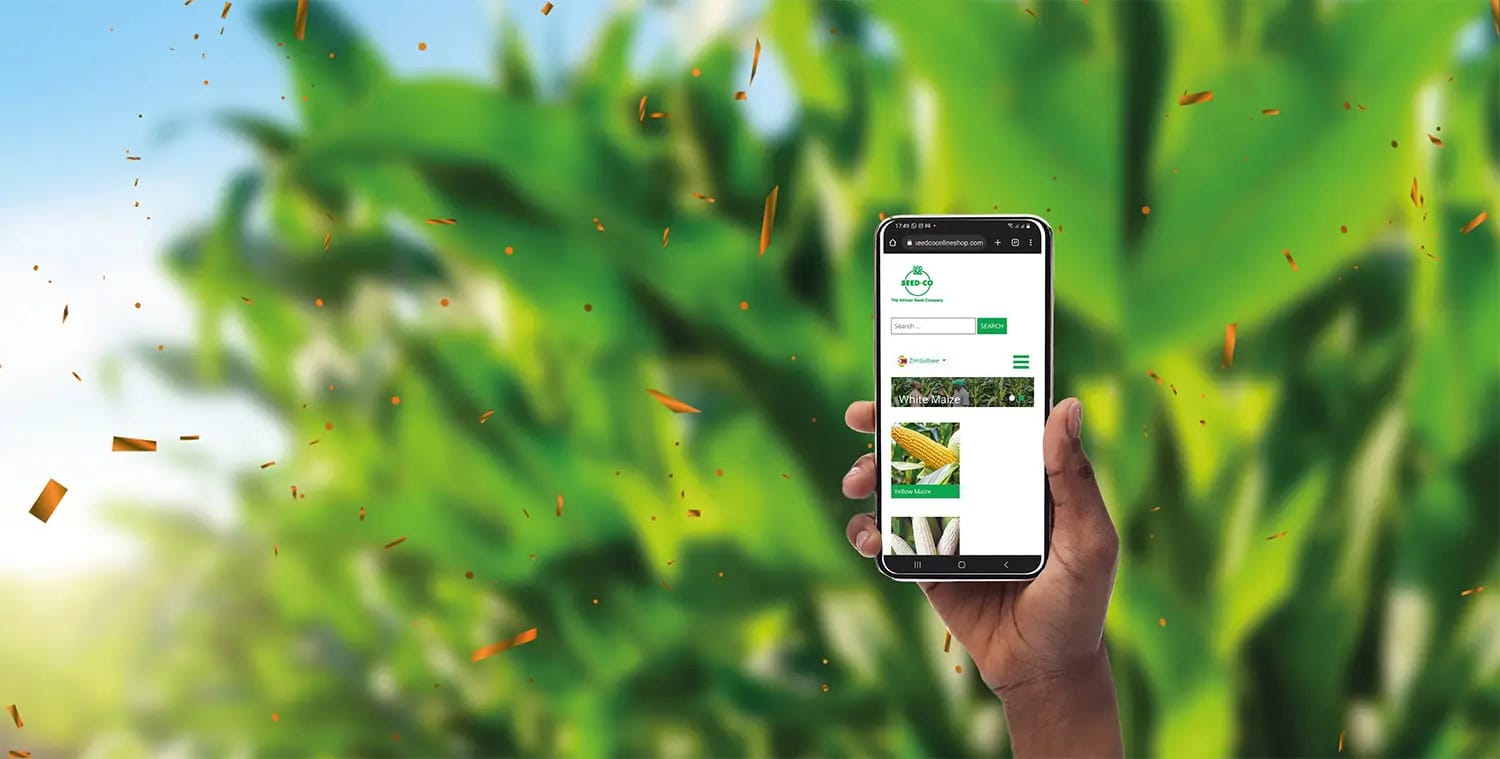 Seedco launches agronomy app for Zimbabwean farmers
