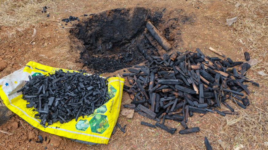 Biochar shown to reduce risks of DDT-contaminated soil