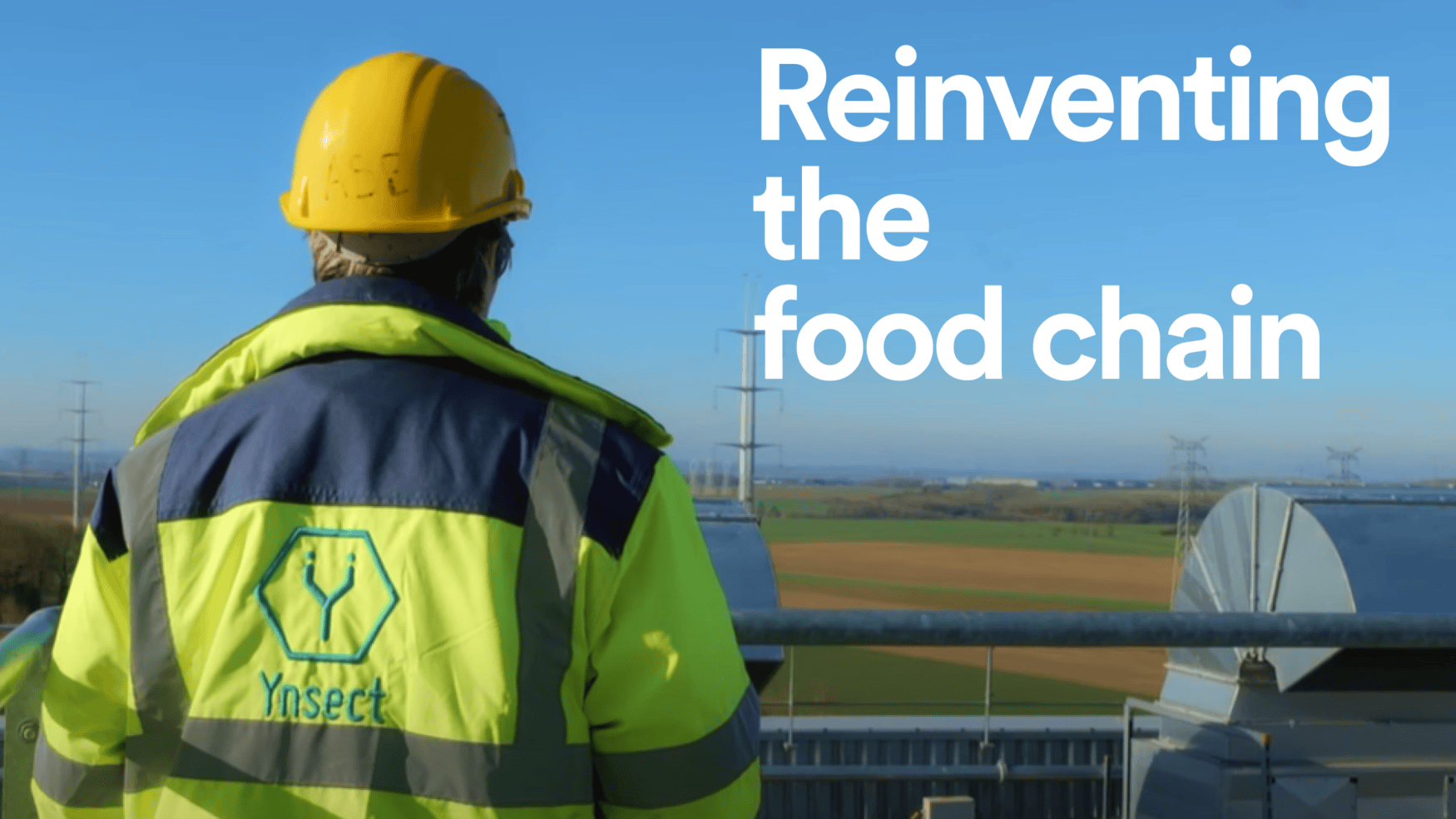 French insect farming startup Ynsect urgently seeks buyers or investors to avert closure