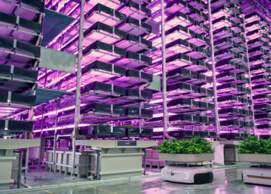 Why vertical farming is not working just yet?