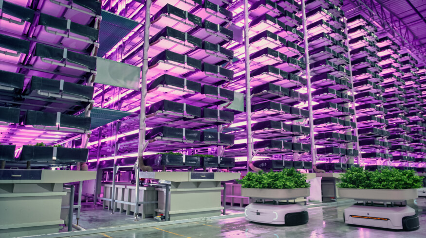Why vertical farming is not working just yet?