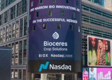 Bioceres Crop Solutions reports a 24% decline in fiscal second quarter 2025 revenues