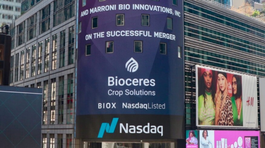 Bioceres Crop Solutions reports a 24% decline in fiscal second quarter 2025 revenues