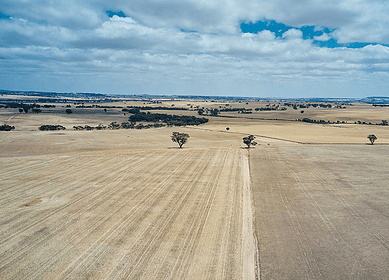 Nufarm teams up with KingAgroot on herbicide rollout