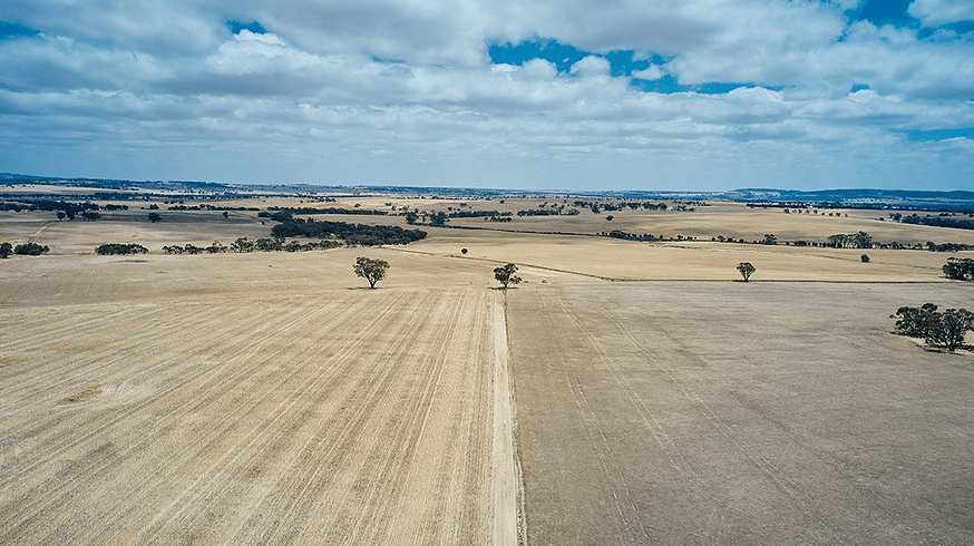 Nufarm teams up with KingAgroot on herbicide rollout