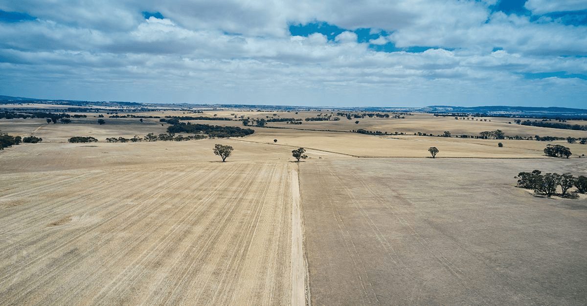 Nufarm teams up with KingAgroot on herbicide rollout