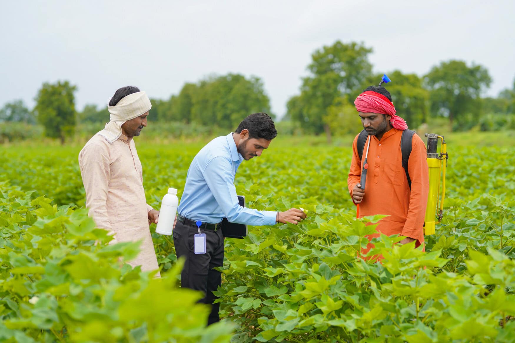 PI Industries strengthens biological portfolio with C-CAMP deal