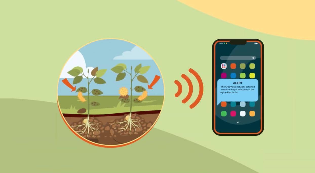 CPI partners with InnerPlant to improve fungal detection in crops