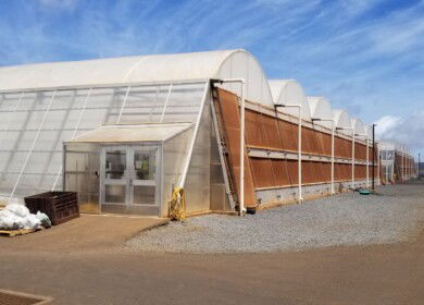 Sensei Ag ambitious agricultural venture faces challenges in Hawaii