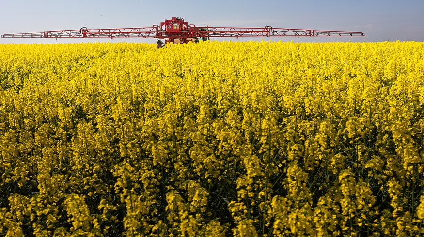 China plans to create new crop varieties of wheat, corn, soybeans and rapeseed utilizing gene-editing tools