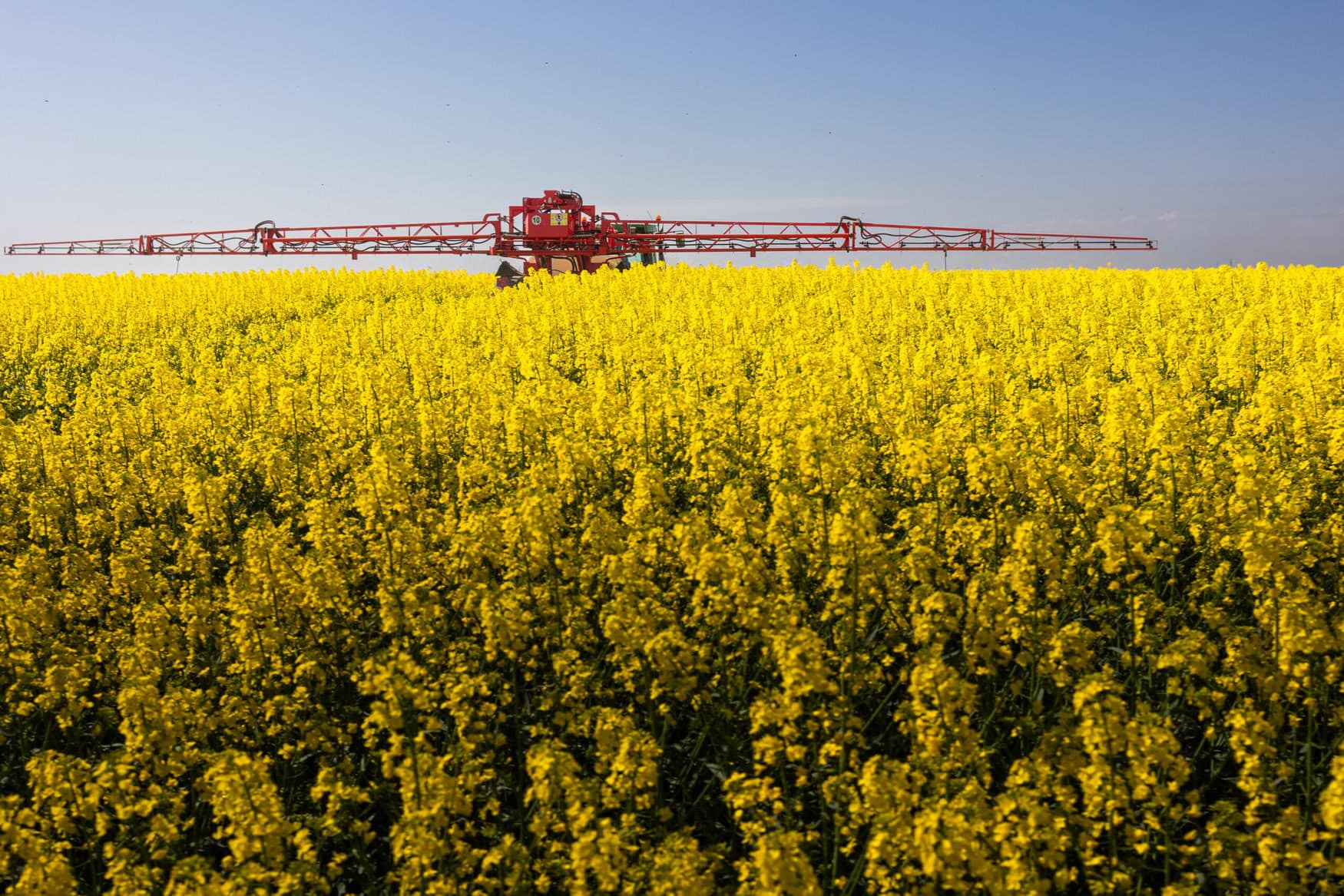 China plans to create new crop varieties of wheat, corn, soybeans and rapeseed utilizing gene-editing tools