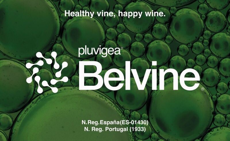 Veganic’s new biofungicide receives registration for use in Spain and Portugal