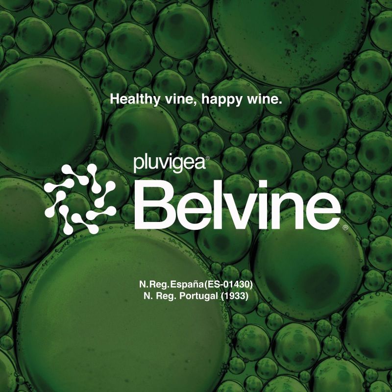 Veganic’s new biofungicide receives registration for use in Spain and Portugal