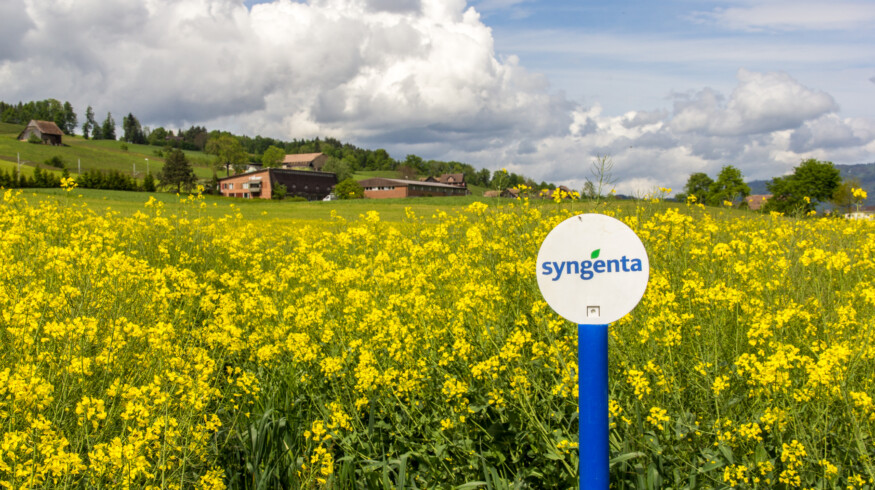 Syngenta Group reports $28.8 billion sales and $3.9 billion EBITDA in 2024