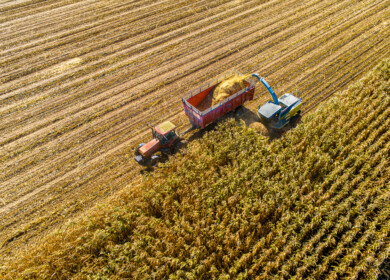 Rising nitrogen requirements in Corn Belt challenge sustainable agriculture