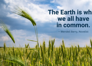 Pro Farm Group unveils a novel bio-based insecticide and nematicide