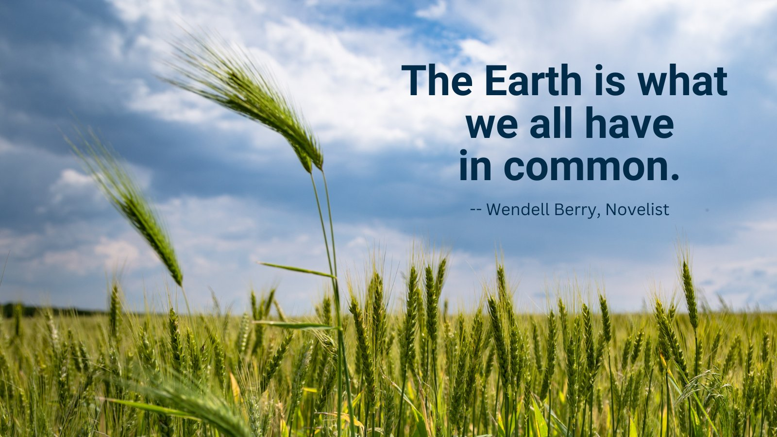 Pro Farm Group unveils a novel bio-based insecticide and nematicide