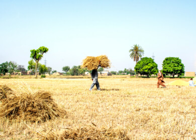 British International Investment allocates $75 million to boost Pakistan’s agribusiness sector