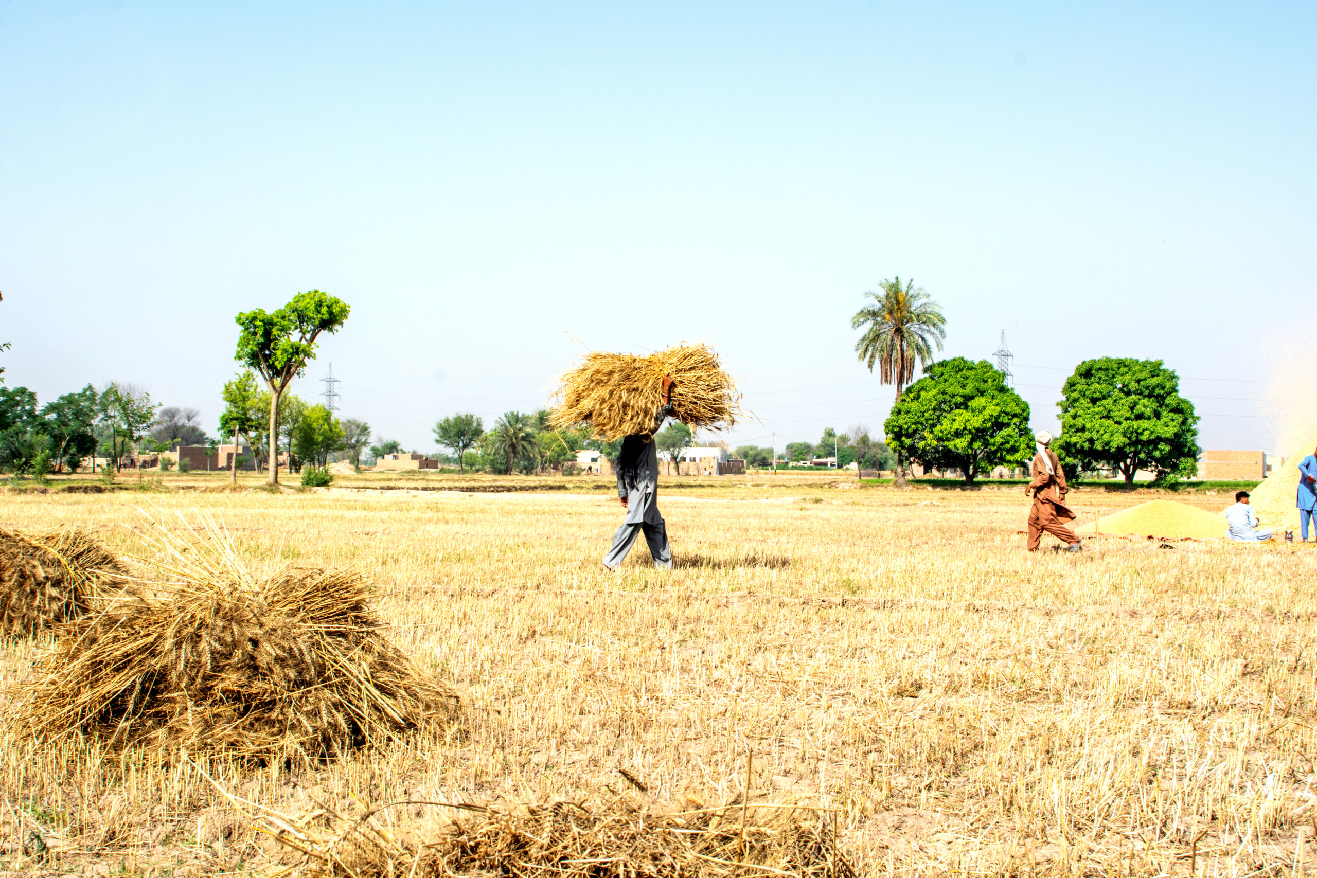British International Investment allocates $75 million to boost Pakistan’s agribusiness sector