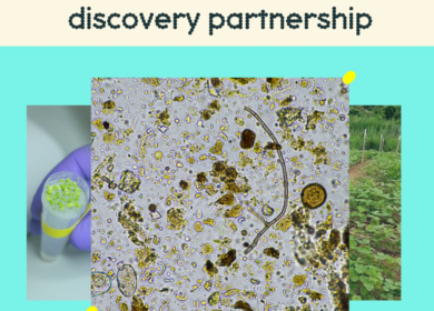 Moa and Naicons strike deal to develop next-gen herbicides